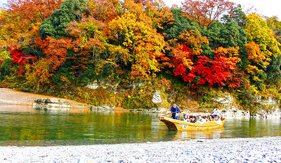 紅葉でのご利用